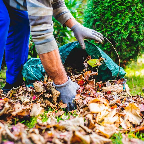 Sac de ramassage de feuilles, système de ramassage de feuilles, bâche de  ramassage de feuilles, sac de ramassage de feuilles mortes de jardin,  utilisé