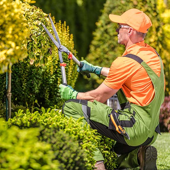 Entretien pelouse paysage extérieur jardinier o2