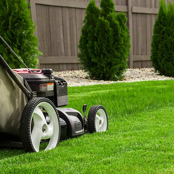 Entretien jardin par prestataire de services