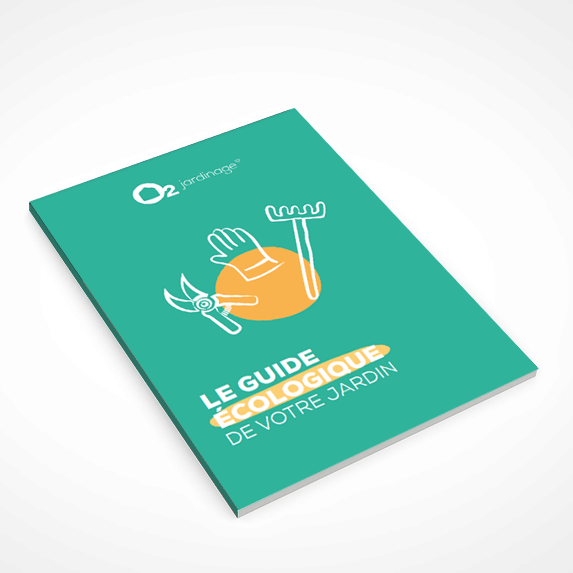 Ramassage feuilles mortes et évacuation déchets jardiniers